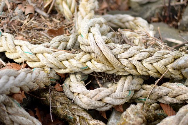 Detailed view of intertwined thick ropes lying on a natural background of leaves and stones.